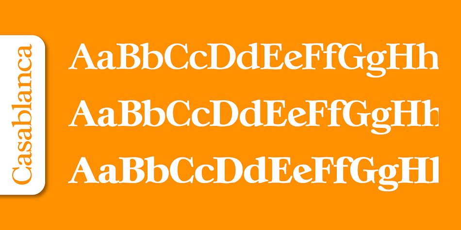 Emphasizing the popular Casablanca Serial font family.