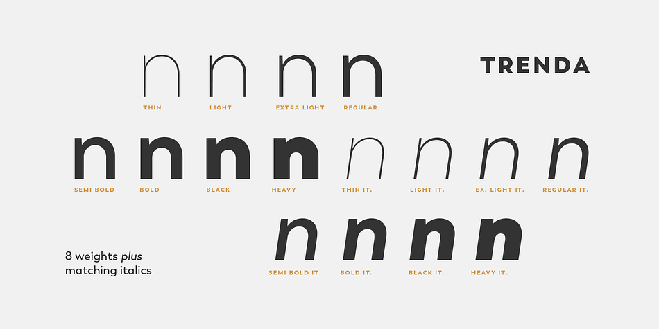 Highlighting the Trenda font family.