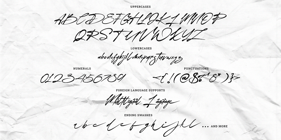 Magnolia Frost Font