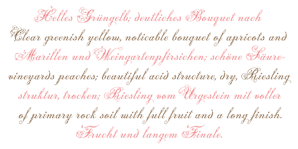 Emphasizing the popular Weingut font family.