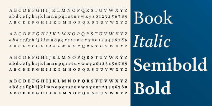 Garvis includes Small Caps, Lining figures (both proportional and oldstyle) as well as Cap-height proportional figures, language specific alternates, OpenType fractions, and support for all contemporary (and many historic), Latin Orthographies as well as complete IPA support.