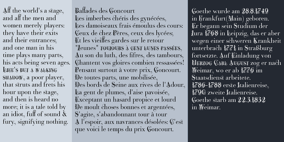 Highlighting the Bodoni Classic Fleurs font family.