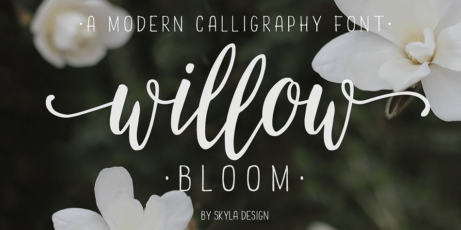 Willow Bloom is a beautiful, modern calligraphy font with a dancing baseline.