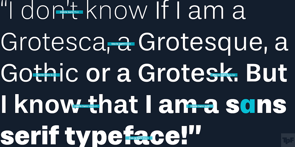 Highlighting the Stevie Sans font family.