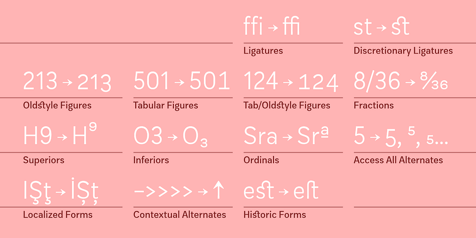 Displaying the beauty and characteristics of the Zega Grot font family.