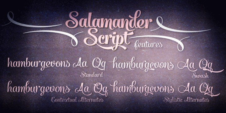 Click on Swash, Contextual or Stylistic alternates in any Open type savvy application for vivid alternate characters and combine with Salamander Ornaments to perfect your designs.
