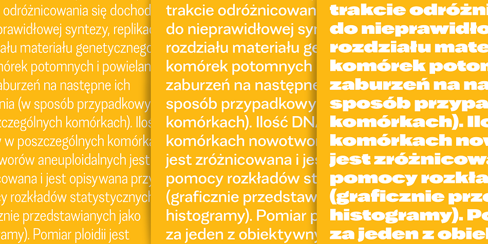 It is characterised by scalable construction of glyphs - hairline version is at the same time condensed, regular is normal, and black is super extended, with short ascenders

Favela was made mainly for branding and display purposes but middle weights are prefect for short texts.