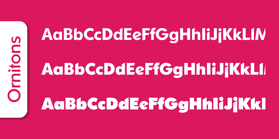 Emphasizing the popular Ornitons Serial font family.