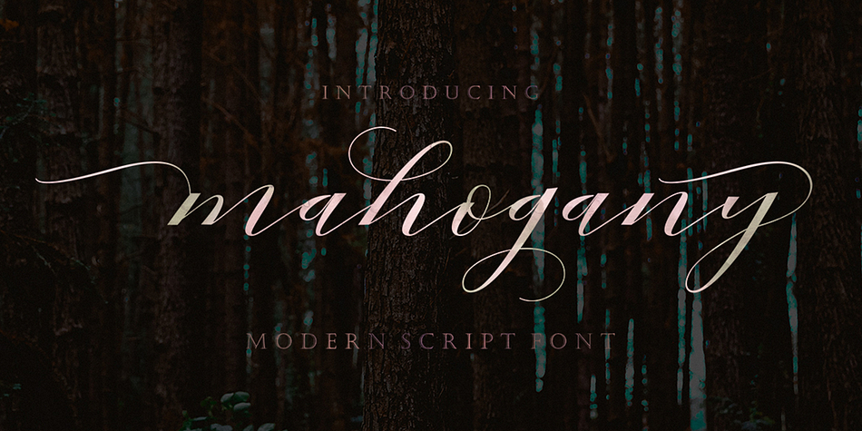 Mahogany Script Font