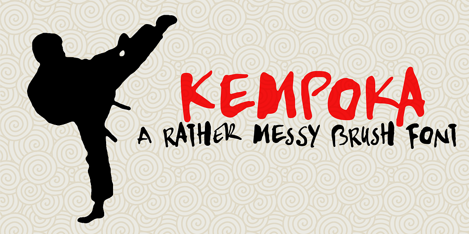 Kempoka is a Japanese word describing someone who practices Kempo.