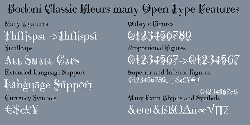 Displaying the beauty and characteristics of the Bodoni Classic Fleurs font family.