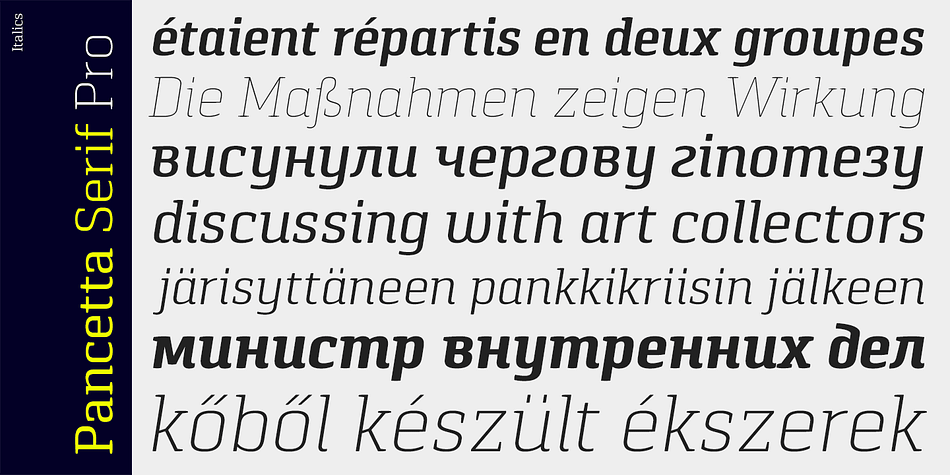Pancetta Serif Pro comes in 8 weights with real italics, with extensive language support and Cyrillic script, and enriched with many OpenType features.