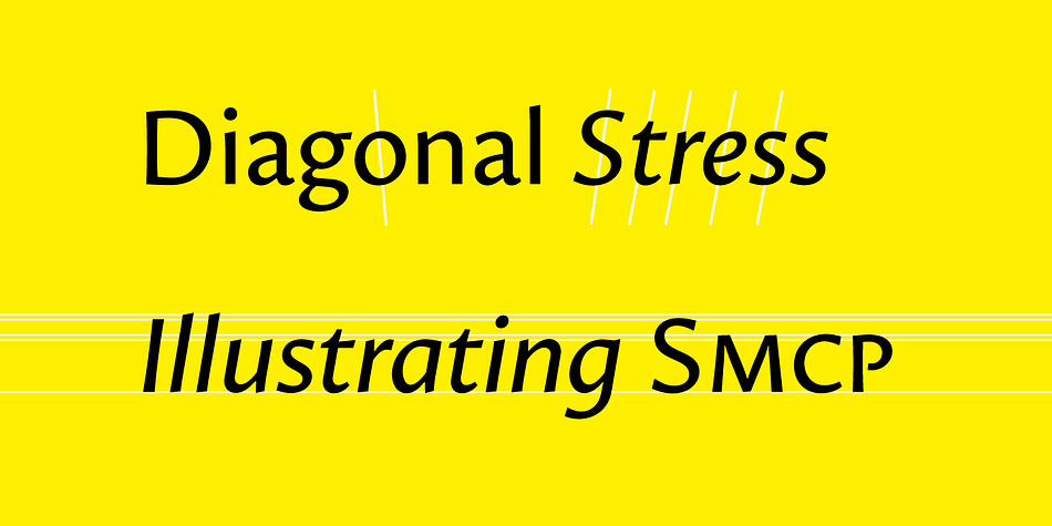 Displaying the beauty and characteristics of the Proza font family.