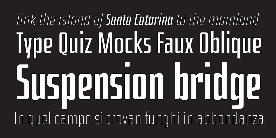 Highlighting the Hercílio font family.