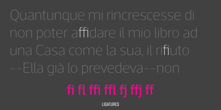 At the end is a very powerful sans family, with eleven weights with matching italics, for editorial and corporate design.