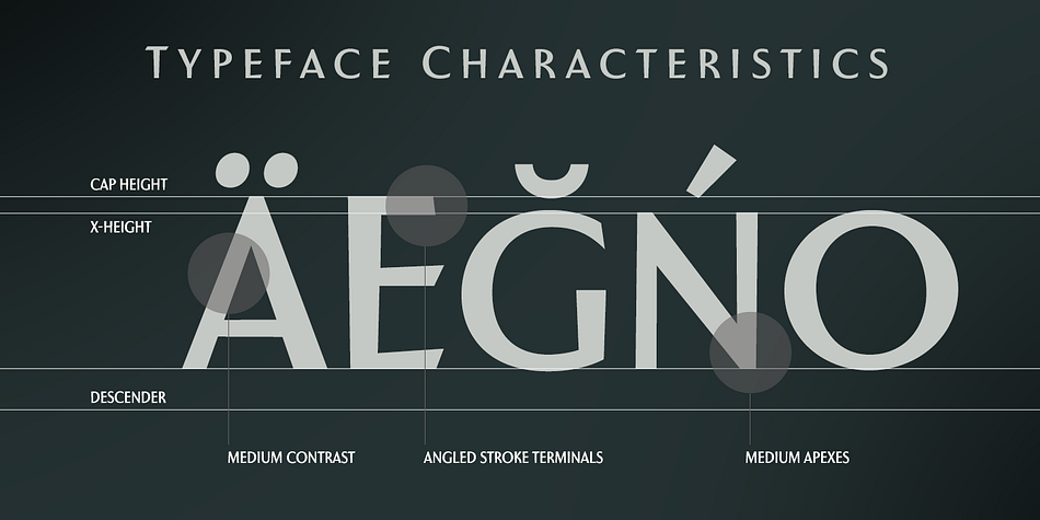 This showstopping font features an inherent grace combined with the classic style of the Art Deco period.