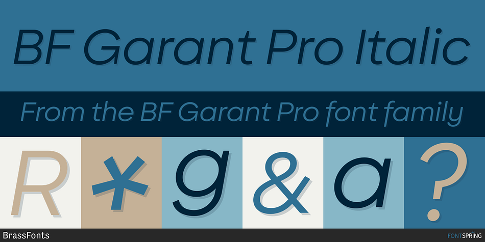 BF Garant Pro Basic Font
