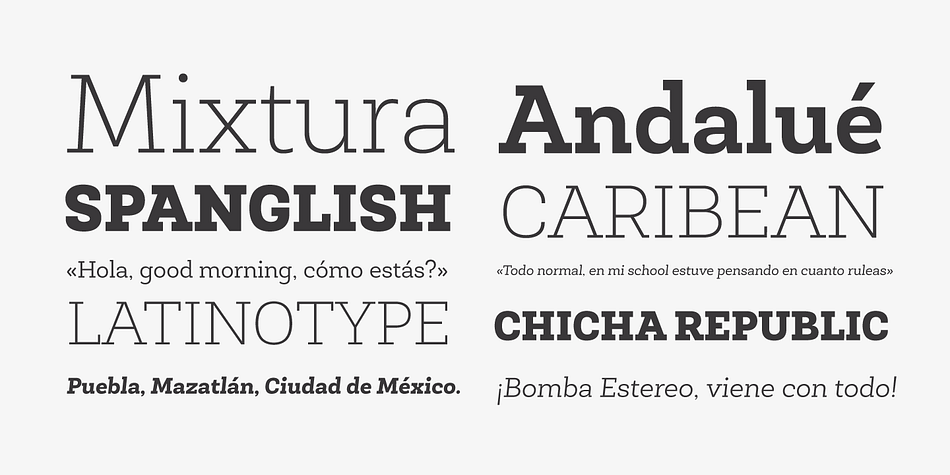 The Newslab font family consists of 16 variants and 8 weights, with italics.