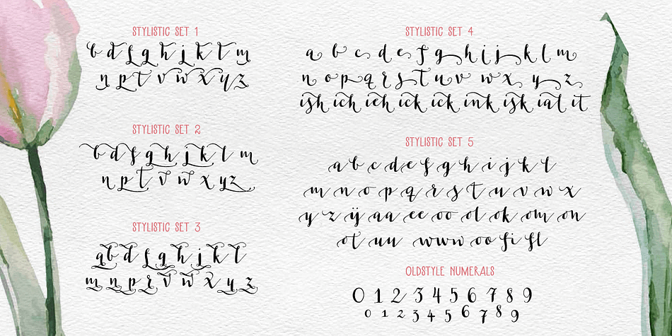 Displaying the beauty and characteristics of the Les Tulipes Pro font family.