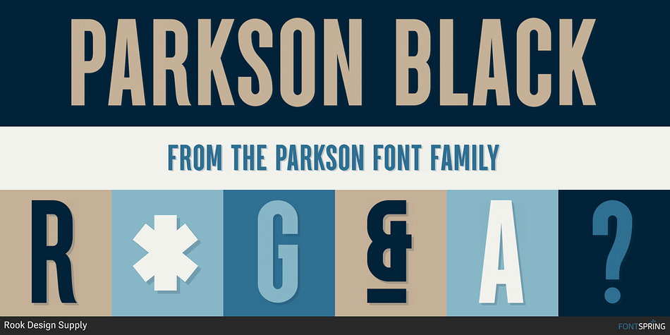 Parkson Black Font