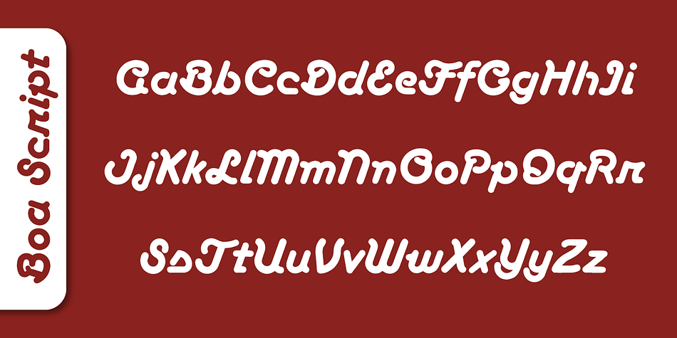 Displaying the beauty and characteristics of the Boa Script font family.