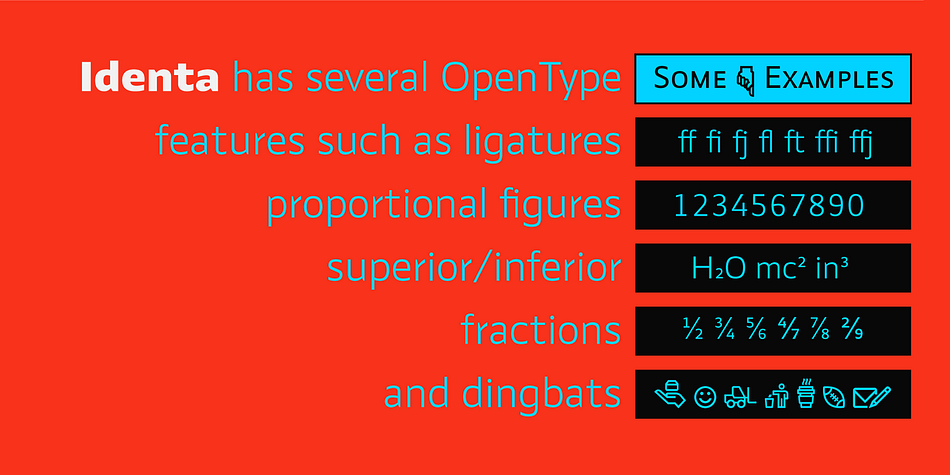 Identa font family sample image.