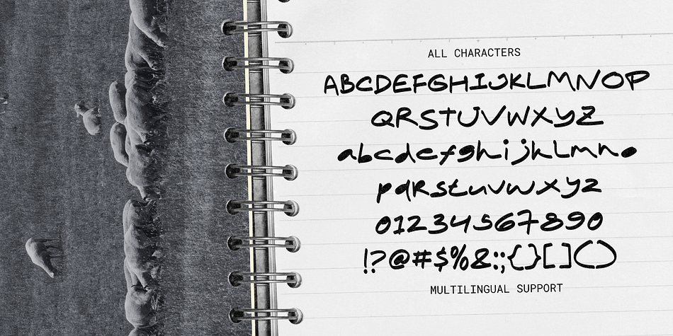 Working Draft Font