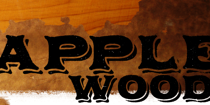 Displaying the beauty and characteristics of the Applewood Pro font family.