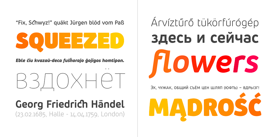 It is a professional, contemporary sans serif with original letter forms, friendly and dynamic feel.
