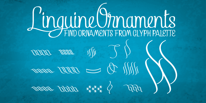 Emphasizing the popular Linguine font family.