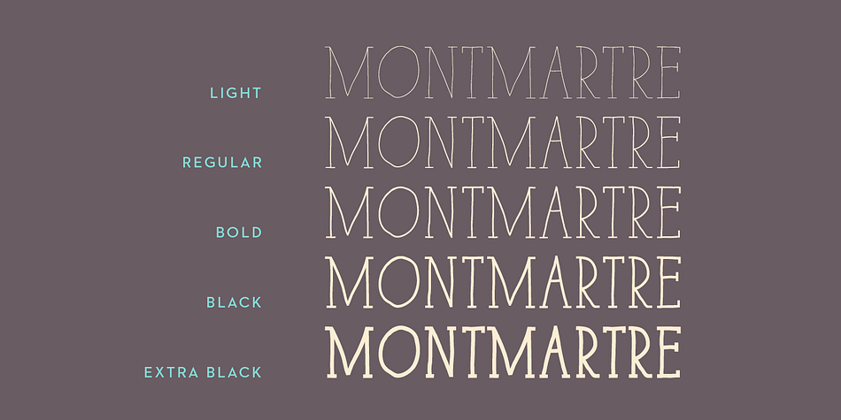 But the little difference of Paris Serif from other handwriting typefaces is the Art Deco feeling that brings it a retro and directly familiar look.