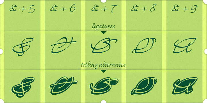 Its main difference is the set of over 430 ligatures (Premium version), based on the research and selection of important character sequences, rather frequent in several languages.