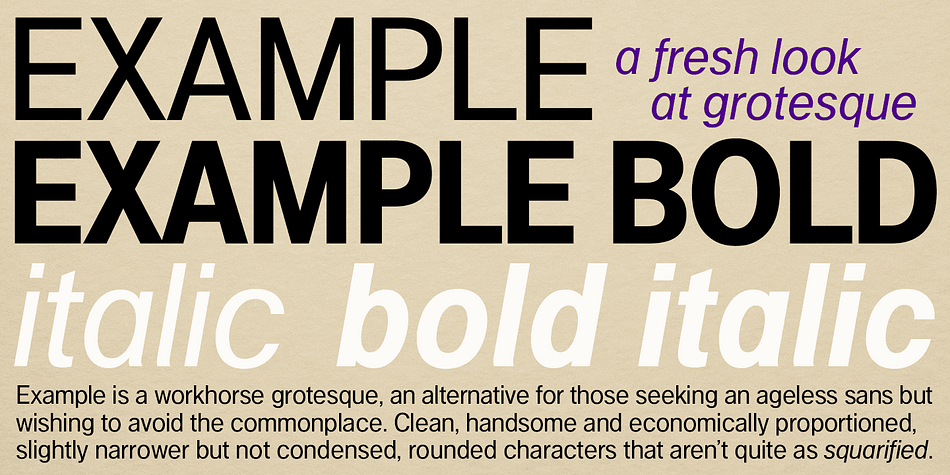 Example is a workhorse neo-grotesque, an alternative for those seeking an ageless sans but wishing to avoid the ordinary choices.