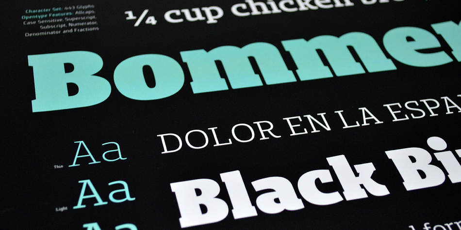 Displaying the beauty and characteristics of the Bommer Slab font family.