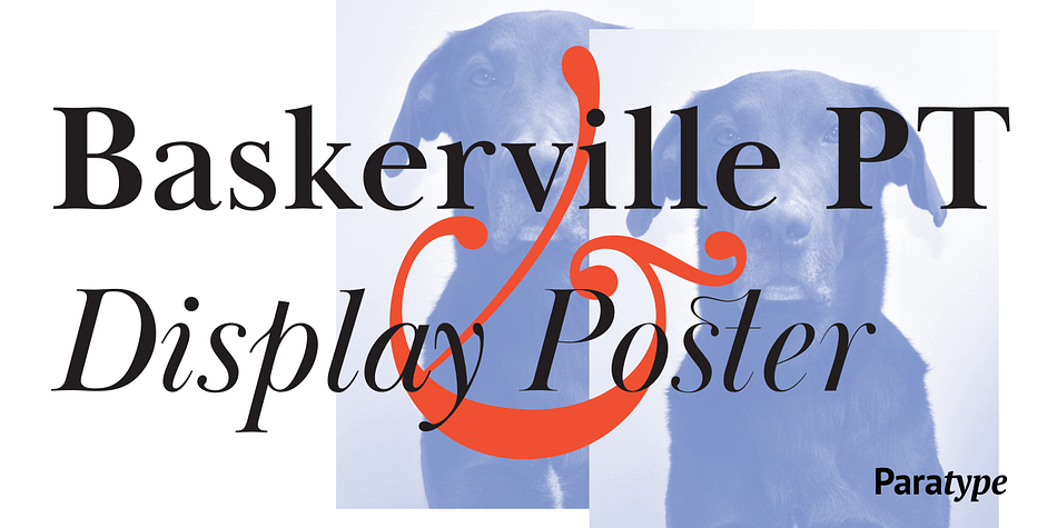 Baskerville Display PT is a type family intended for large and extra large point sizes.