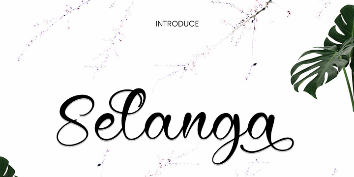 Selanga font family by Ayska