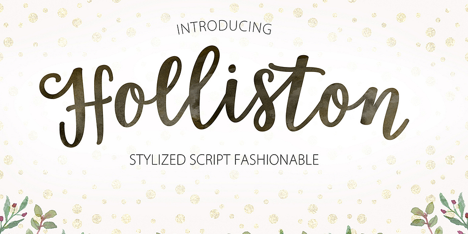 Holliston Script is a creative calligraphy font.