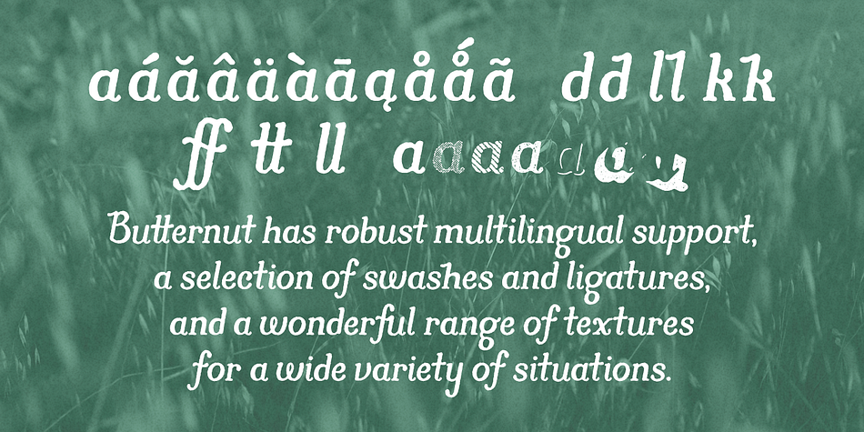 Because of this, you will find a slight degree of roughness to the edges, yet a fluid softness to the letterforms themselves.