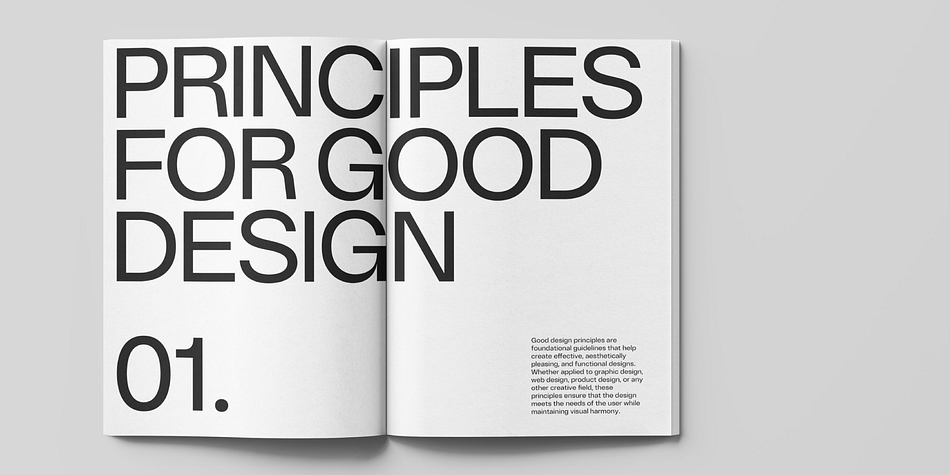 DK Grotesk Font