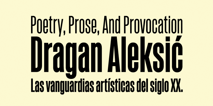 It is characteristically more elegant and considerably sturdier than the typical condensed sans, lending to it