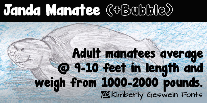 Displaying the beauty and characteristics of the Janda Manatee font family.