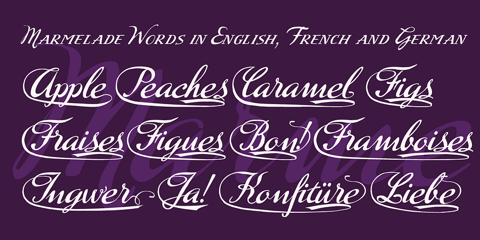 Last but not least, there is a set of Fruit sketches that come in handy for everyday jams.

I sell all the flavors in one set only, but at a boiled down price.