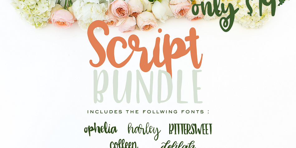 Displaying the beauty and characteristics of the August Script Bundle font collection.