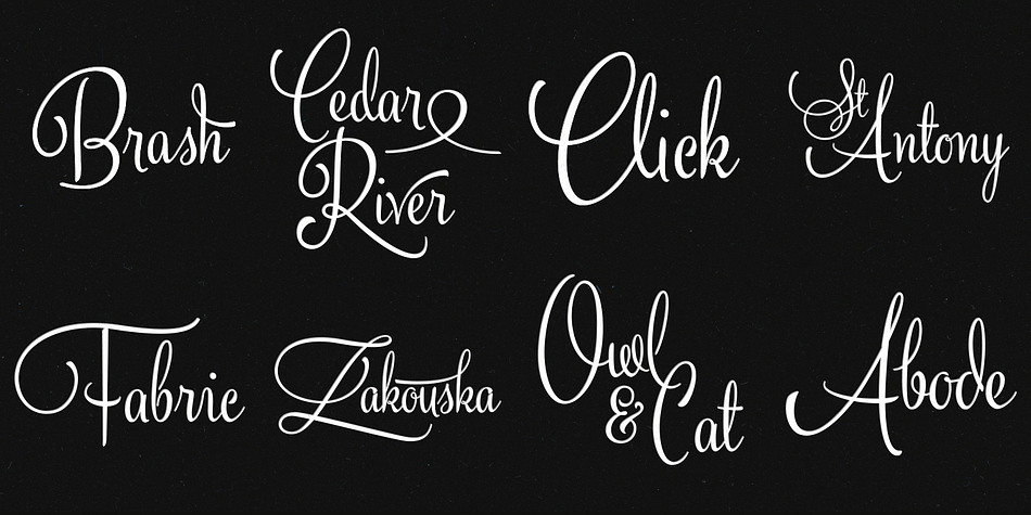 Silver is a dingbat and brush script font family.