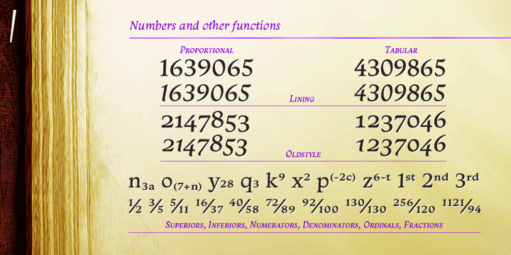 It also has several other professional features - small caps, fractions, old style-, lining-, tabular numbers, scientific superior/inferior figures, stylistic sets and more than 40 different ligatures (standard + discretionary).