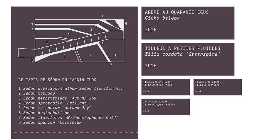 Displaying the beauty and characteristics of the Aubusson font family.