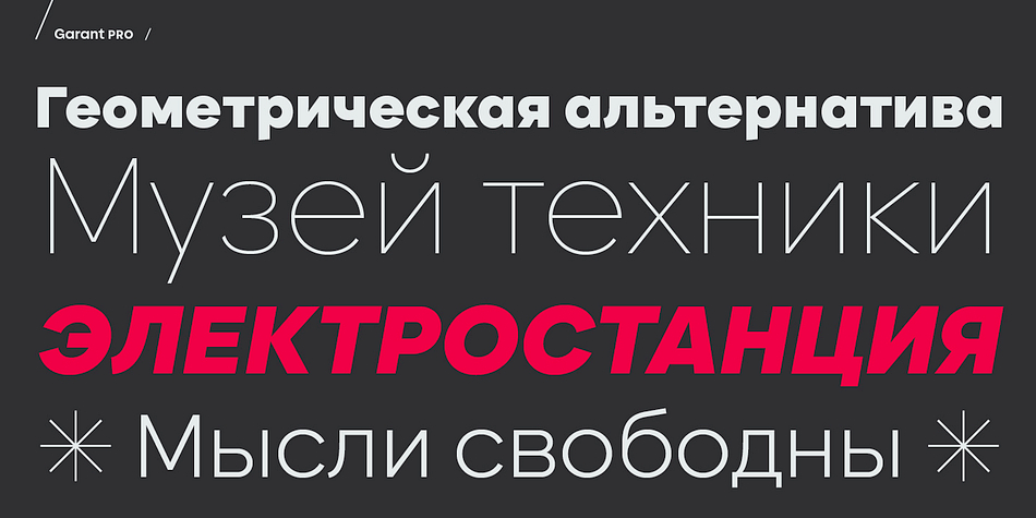 BF Garant Pro Font