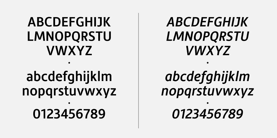 Displaying the beauty and characteristics of the Hedley New font family.