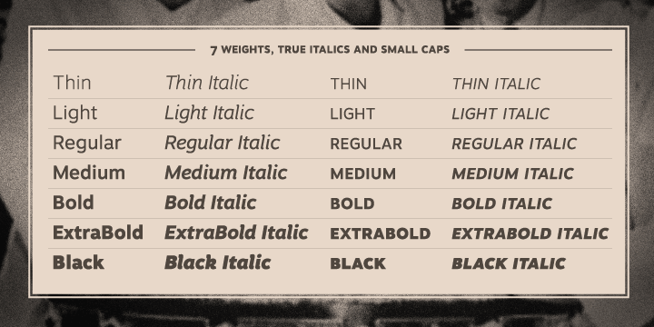 The italics are more cursive than the average sans serif design and provide very good contrast to the their roman counterparts.
