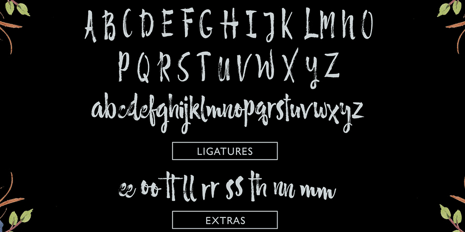 To enable the OpenType Extras, you need a program that supports OpenType features such as Adobe Illustrator CS, Adobe Indesign & CorelDraw X6-X7, Microsoft Word 2010 or later versions.